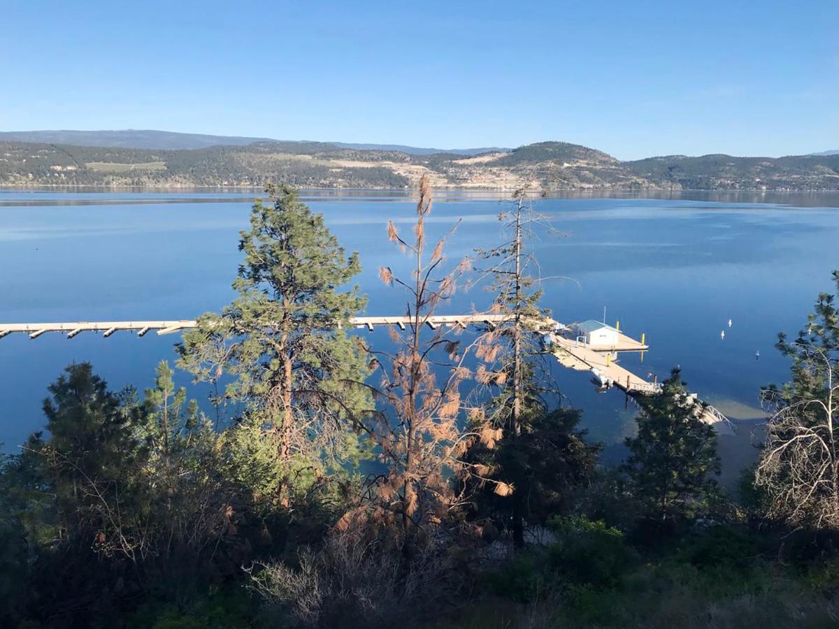 Cozystay Signature Lake Okanagan Resort كيلوانا المظهر الخارجي الصورة